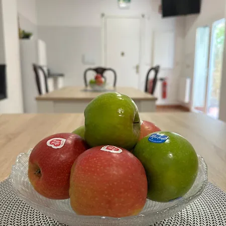 Urban Garden * 毕尔巴鄂